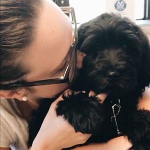 Meet your Posher, Ella